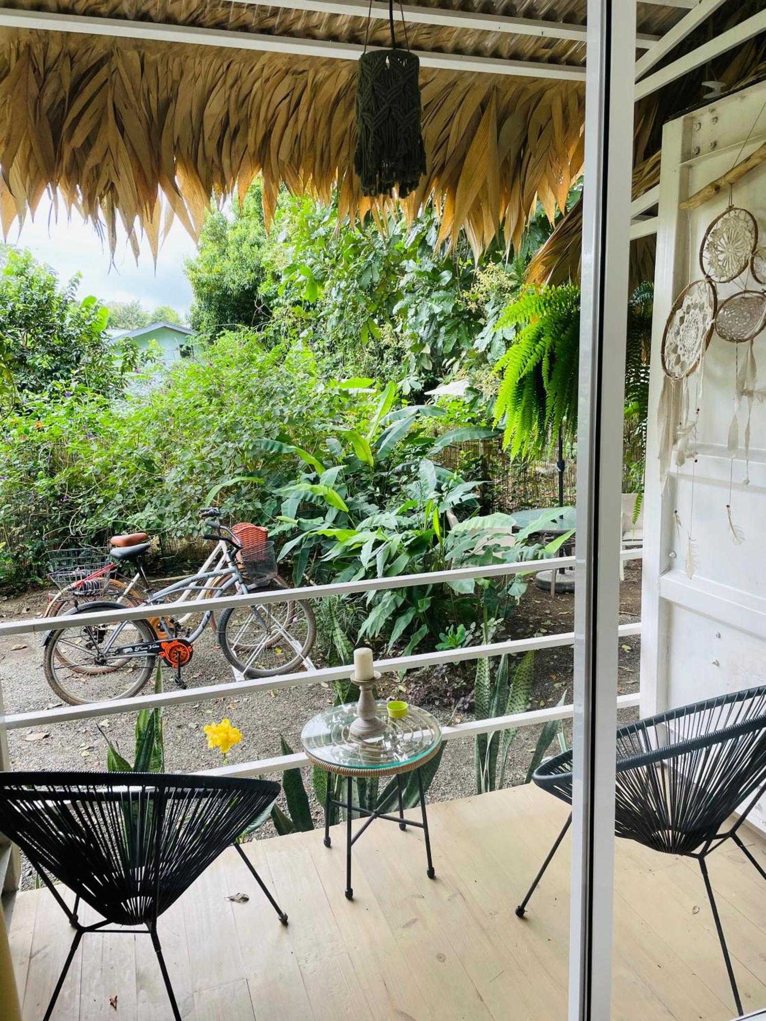 Bed and Breakfast Casa Luce à Puerto Viejo de Talamanca Extérieur photo