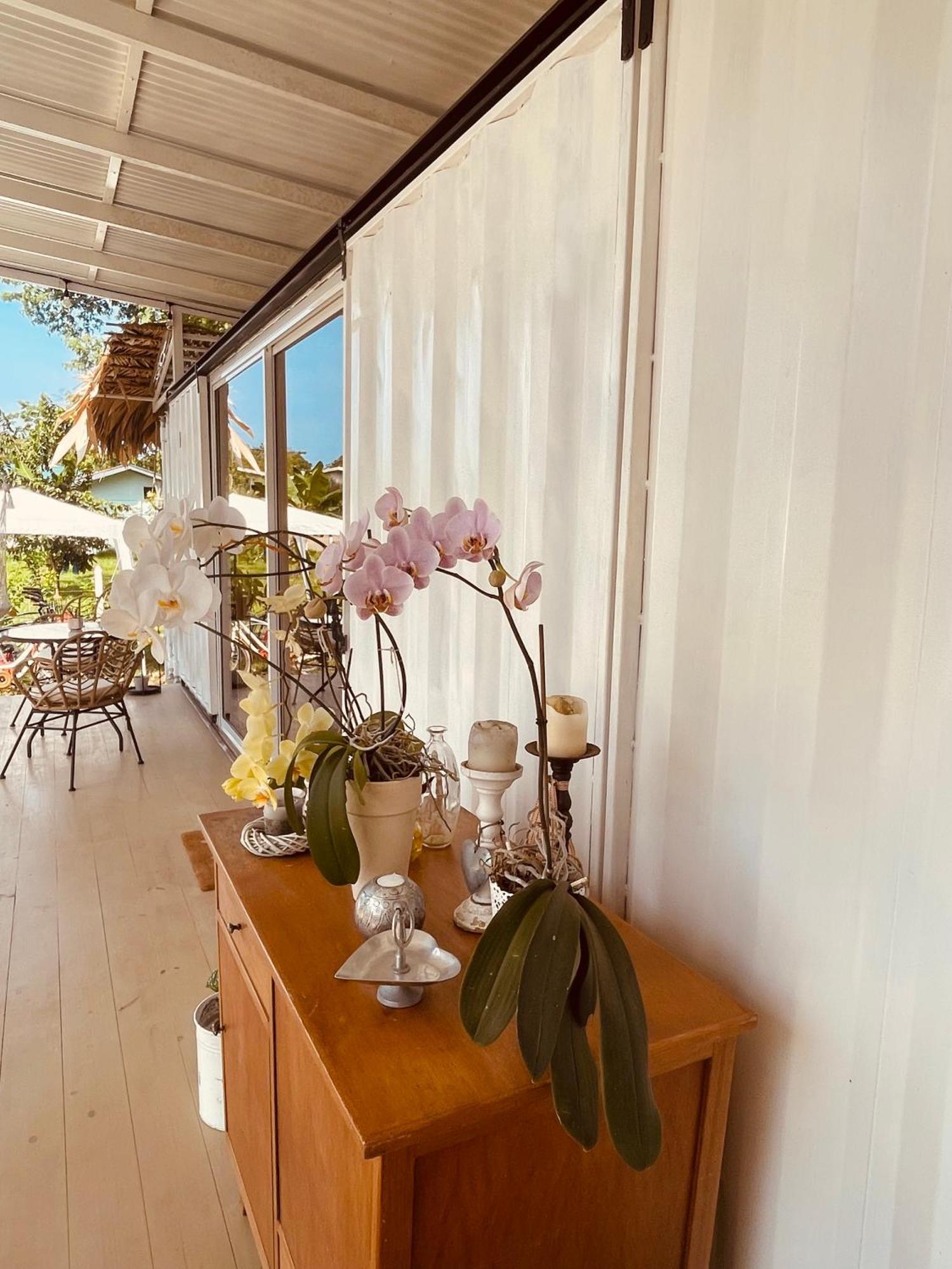 Bed and Breakfast Casa Luce à Puerto Viejo de Talamanca Extérieur photo