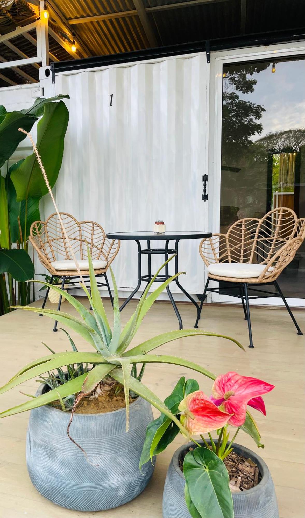 Bed and Breakfast Casa Luce à Puerto Viejo de Talamanca Extérieur photo